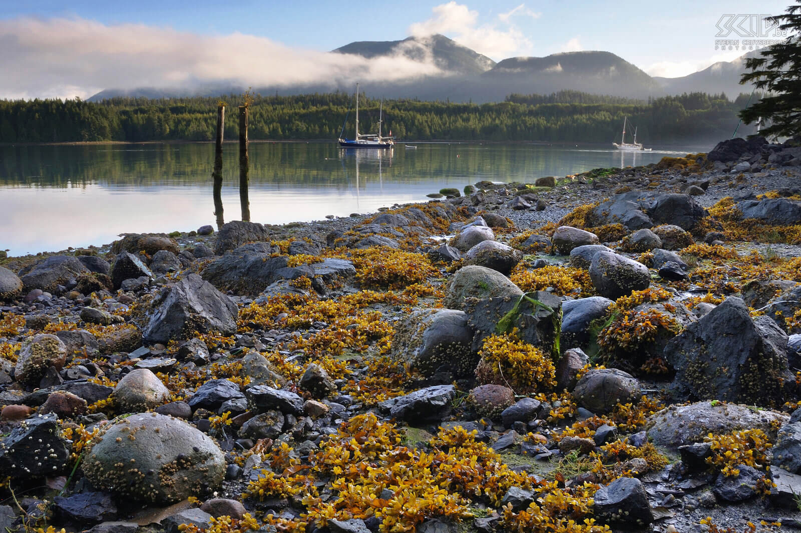 Ucluelet Ucluelet is een klein stadje aan de west kust van Vancouver Island omgeven door vele eilanden en prachtige ruige rotstranden met veel leven. Stefan Cruysberghs